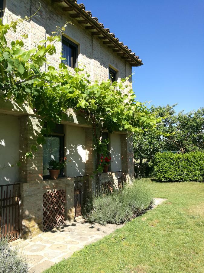 Agriturismo Pian Del Tevere Torgiano Exterior foto