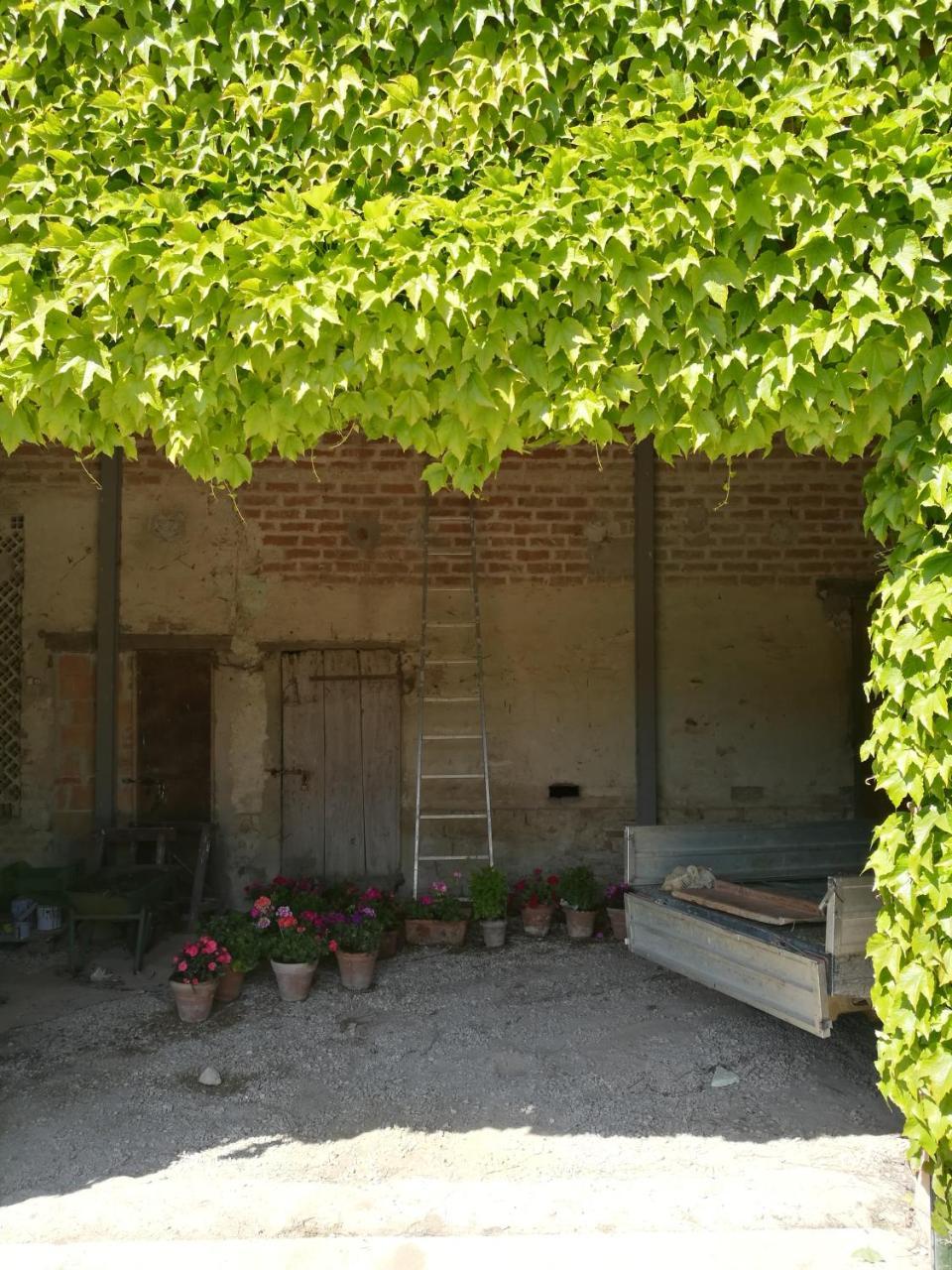 Agriturismo Pian Del Tevere Torgiano Exterior foto